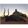 Image 6 : Numzaan Safaris: 2 hunters 1 PH/guide-5 days South Africa,Limpopo Province