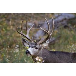 Trophy Zone Outfitting