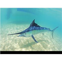 3 Day Costa Rica fishing trip