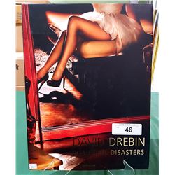 BEAUTIFUL DISASTERS BY DAVID DREBEN HARDCOVER BOOK