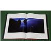 Image 4 : BEAUTIFUL DISASTERS BY DAVID DREBEN HARDCOVER BOOK