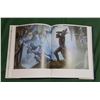 Image 4 : KING ARTHUR AND HIS KNIGHTS HARDCOVER BOOK