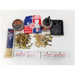 ASSORTED 22 AND AIRGUN AMMO