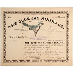 Blue Jay Mining Company Stock