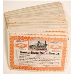 Tonopah Divide Mining Stocks