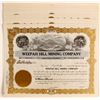 Image 1 : Weepah Hill Mining Stocks (9)