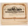 Image 1 : Cincinnati, New Orleans and Texas Pacific Stock Certificates