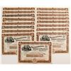 Image 1 : Pittsburgh, Lisbon & Western Railroad Company Stock Certificates