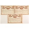 Image 1 : Sixth Avenue Railroad Company Stock Certificates