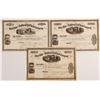 Image 1 : Stateline and Sullivan Rail Road Company Stock Certificates