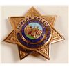 Image 1 : Auburn Matron Police Badge