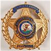 Image 1 : Deputy Sheriff Badge