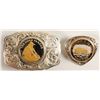 Image 1 : Sterling Silver Belt Buckle and Bolo Set - The Gold Panner and DOI Seal