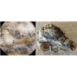 Cedar Hill Mine Specimen