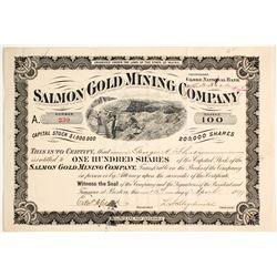 Salmon Gold Mining Company Stock