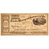 Image 1 : 1872 Alaska Mining Stock: Alaska Mining and Commercial Company Stock