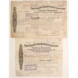 Alaska Goldfields Limited, Stocks