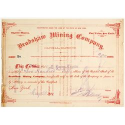 Bradshaw Mining Company Stock