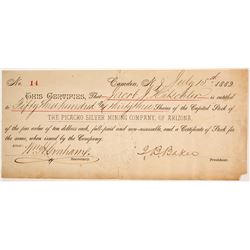 Picacho Silver Mining Company Stock