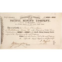 Pacific Mining Company Limited Stock