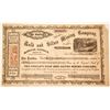 Image 1 : People's Gold & Silver Mining Company, Monitor District, Amador County