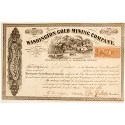 Washington Gold Mining Company Stock