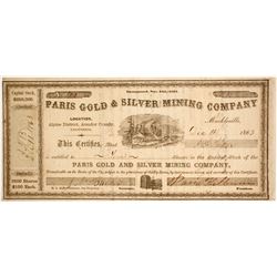 Paris Gold & Silver Mining Company Stock