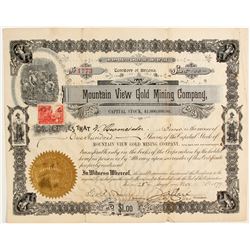 Mountain View Gold Mining Company