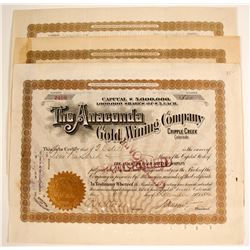 Anaconda Gold Mining Stocks (3)