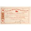 Image 1 : Cook Gold Mining Company of Colorado Stock