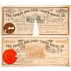 Image 1 : Bunker Hill Gold and Silver Mining Company Stock