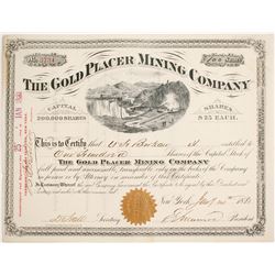 Gold Placer Mining Company Stock