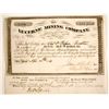Image 1 : Lucerne Mining Co. Stock