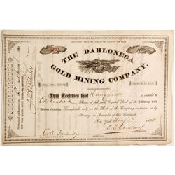 Dahlonega Mining Company Stock