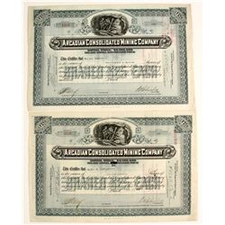 Arcadian Consolidated Mining Stocks (2)