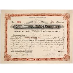 Mayflower Mining Co. Stock