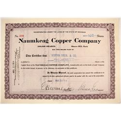 Naumkeag Copper Co. Stock