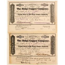 Ridge Copper Co Stocks (2)