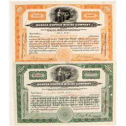 Seneca Copper Mining Stocks (2)