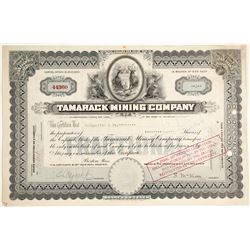 Tamarack Mining Co. Stock