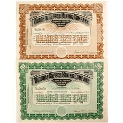 Victoria  Copper Mining Stocks (2)