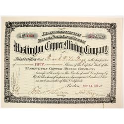 Washington Copper Mining Stock