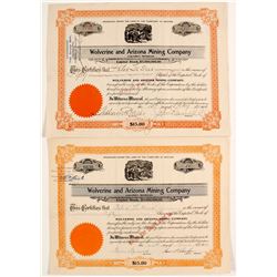 Wolverine and Arizona Mining Co. Stocks (2)