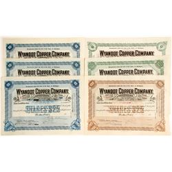 Wyandot Copper Co. Stocks, 6 Different