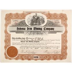 Nebewa Iron Mining Stock