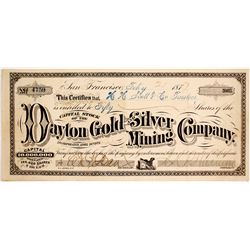 Dayton Gold & Silver Mining Company Stock