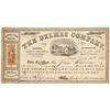 Image 1 : Delmas Company Stock
