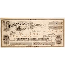 Trenton Mining Company Stock