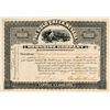 Image 1 : Gold Creek, Nevada Townsite Company Stock (NV. Ghost Town) Certificate