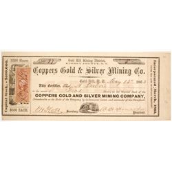 Coppers Gold & Silver Mining Company Stock